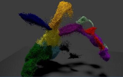 Hoja de ruta para el desarrollo de células madre