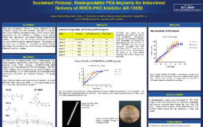 Implante AR-13503 con ROCK/PKC para DMAE y Edema macular