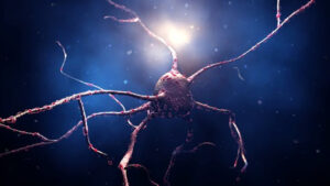 Implantes de retina con células madre para DMAE seca