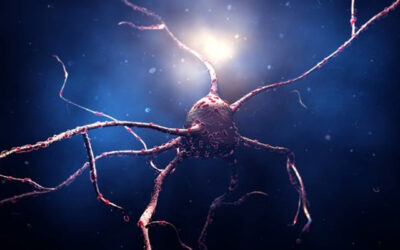 Implantes de retina con células madre para DMAE seca