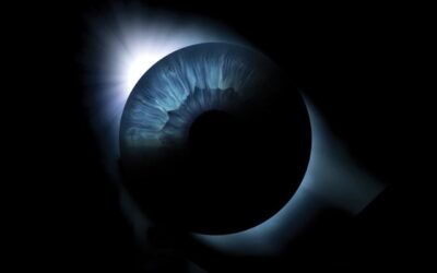 Patologías degenerativas de la retina y posibles terapias