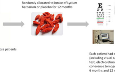 Suplemento de Goji berry retrasa degeneración conos en Retinosis Pigmentaria