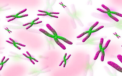 ¿Qué es la herencia genética?