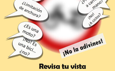 Discapacidad visual y conducción