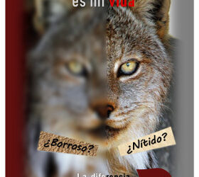 La importancia de la salud visual al volante