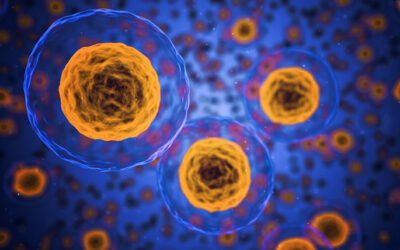 BioTime inicia fase 1/2a de OpRegen para tratamiento de la DMAE seca