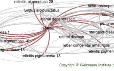 Ensayo STREAM con EPR derivado de hESC para retinosis pigmentaria causada por mutación monogénica