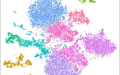 Nuevos conocimientos sobre el código genético de la retina