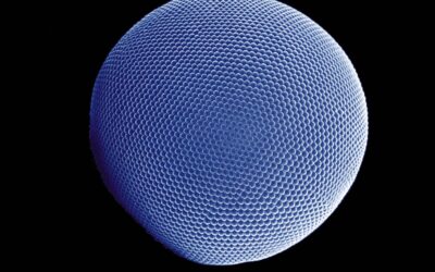 Consejos para mantener una buena salud ocular