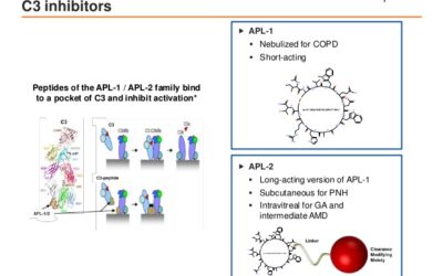 Eficacia y seguridad de APL-2 para atrofia geográfica