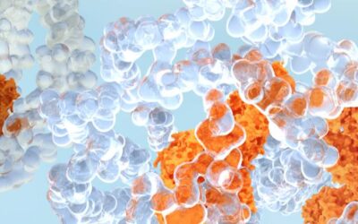 KSI 301 para DMAE húmeda y Retinopatía diabética