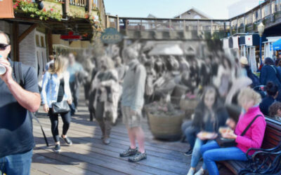 ¿Cuál es la diferencia entre la degeneración macular relacionada con la edad seca y húmeda?