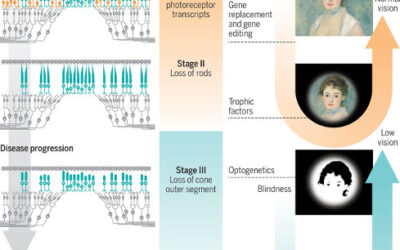 Actualidad de las terapias para tratar la degeneración retiniana
