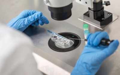 Datos positivos para la terapia celular hRPC de ReNeuron para Retinosis Pigmentaria