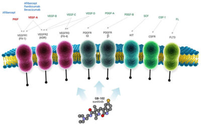 Graybug Vision inicia ensayo clínico ALTISSIMO GB-102 para DMAE húmeda