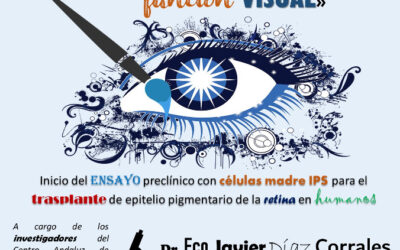 Hacia la restauración de la función visual