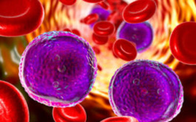 Alzheimer y degeneración de la retina: un vistazo a los metales traza esenciales en los líquidos y tejidos oculares