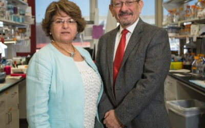 Explorando la relación entre la degeneración macular y la retinosis pigmentaria