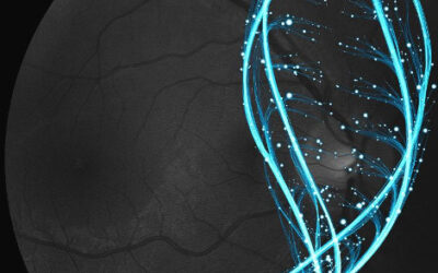 Segundo ensayo clínico pivotal de Zimura para DMAE seca