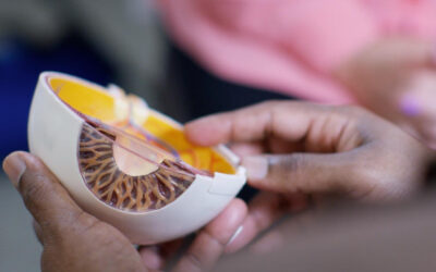 La enzima DICER1 una posible forma de detener la degeneración macular