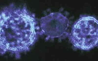 Alerta: Importantes actualizaciones sobre coronavirus