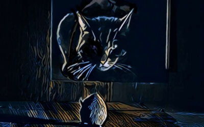 El secreto genético de la visión nocturna