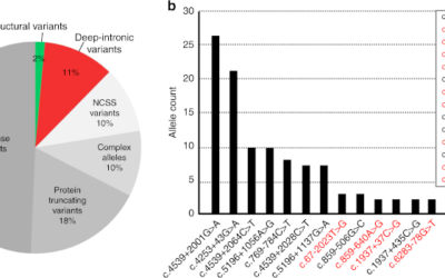 Aclaración al lado oscuro del ABCA4 en Stargardt
