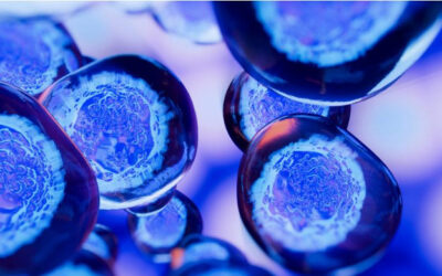 Trasplante de células madre: Restaurar la visión en la DMAE puede ser posible