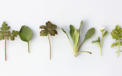 Actualiza tu dormitorio, mejora tu sueño