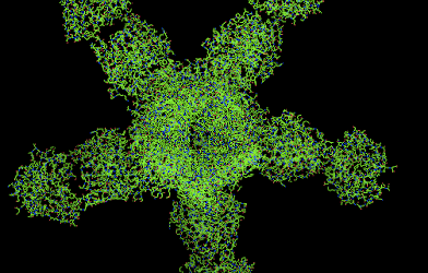 BEST1: Un Gen, muchas enfermedades