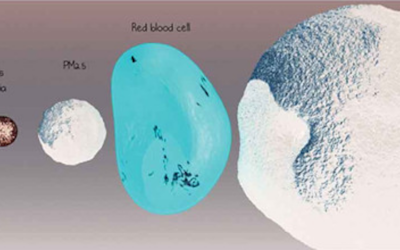 COVID-19: Limitar los riesgos para los profesionales de la visión