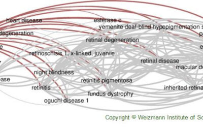 Distrofia pigmentaria foveal en alas de mariposa