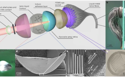 Ojo artificial mejorado por la retina hemisférica