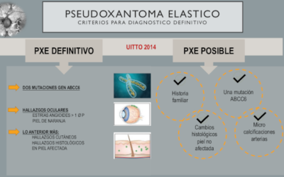 Pseudoxantoma elástico (PXE) o Síndrome de Gronblad-Stranberg: Infografías