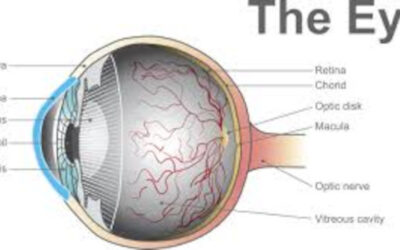 Un dispositivo para la detección temprana de la DMAE