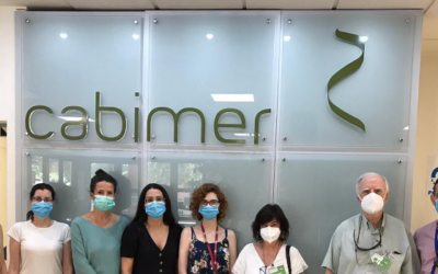 DMAE-CELLS_FASE2: Estudio preclínico de seguridad y eficacia del trasplante celular de epitelio pigmentario de la retina cultivado sobre matriz de fibrina-agarosa para el tratamiento de la degeneración macular asociada a la edad