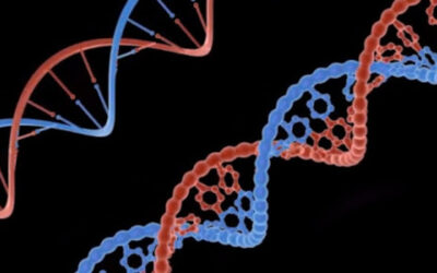 Visible Genomics inicia una prueba de ADN para la degeneración macular relacionada con la edad (DMAE)