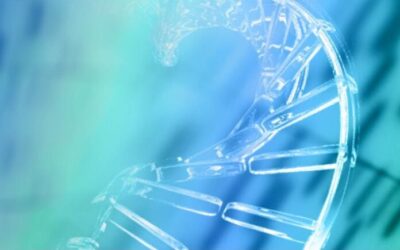 Outlook Therapeutics inicia un estudio de seguridad con Lytenava para la DMAE húmeda