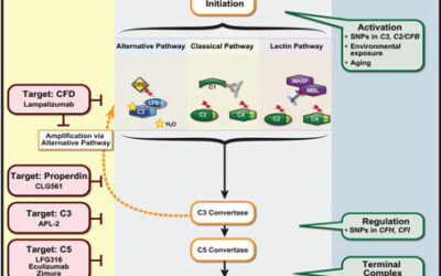 Pegcetacoplan retrasa la progresión de la atrofia geográfica (GA) en etapas tempranas (DMAE)