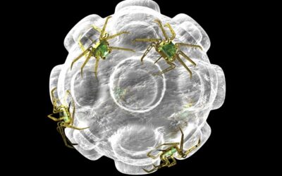 Una prótesis de retina líquida