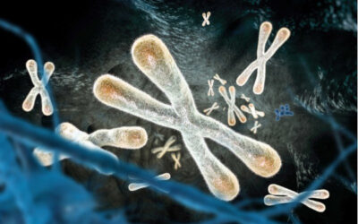 ¿Puede la investigación antienvejecimiento mantenernos sanos a largo plazo?