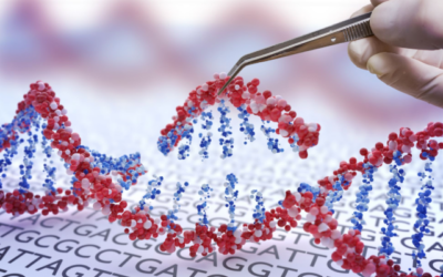 PROQR completa reclutamiento para la fase 2/3 del ensayo ILLUMINATE con SEPOFARSEN para LCA10