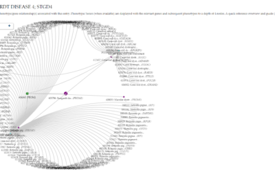 Enfermedad de Stargardt 4 – STGD4