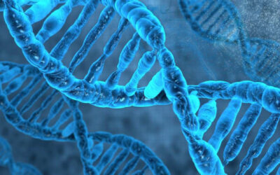 ReNeuron anuncia primer ensayo de terapia celular hRPC para Retinosis Pigmentaria en España