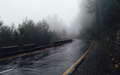 Sensibilidad al contraste