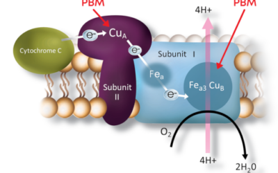 Fotobiomodulación con Valeda de LumiThera para retinopatía diabética y edema macular diabético