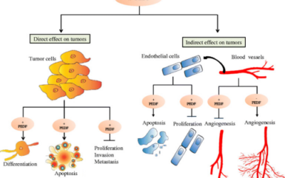 El factor derivado del epitelio pigmentario (PEDF) podría tener un papel en el tratamiento de las enfermedades oculares