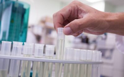 2021 ¿Cuánto invierte España en investigación para evitar la ceguera?