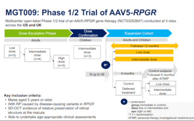 La terapia génica AAV5-RPGR para la retinosis pigmentaria ligada al cromosoma X invierte la progresión natural de la enfermedad