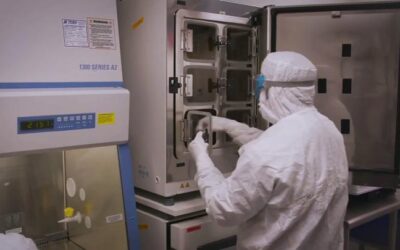 NYSCF avanza hacia una terapia celular para la degeneración macular asociada a la edad DMAE